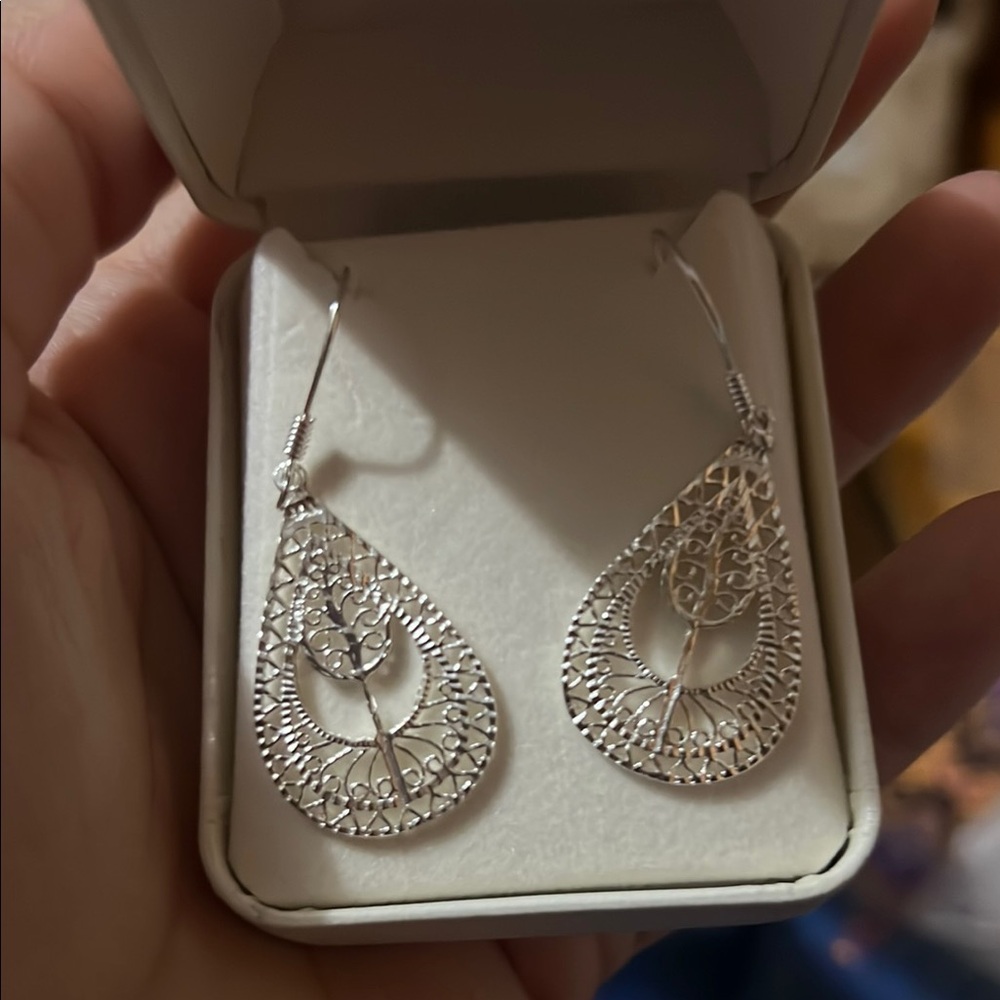 Elegant Silver Teardrop Earrings